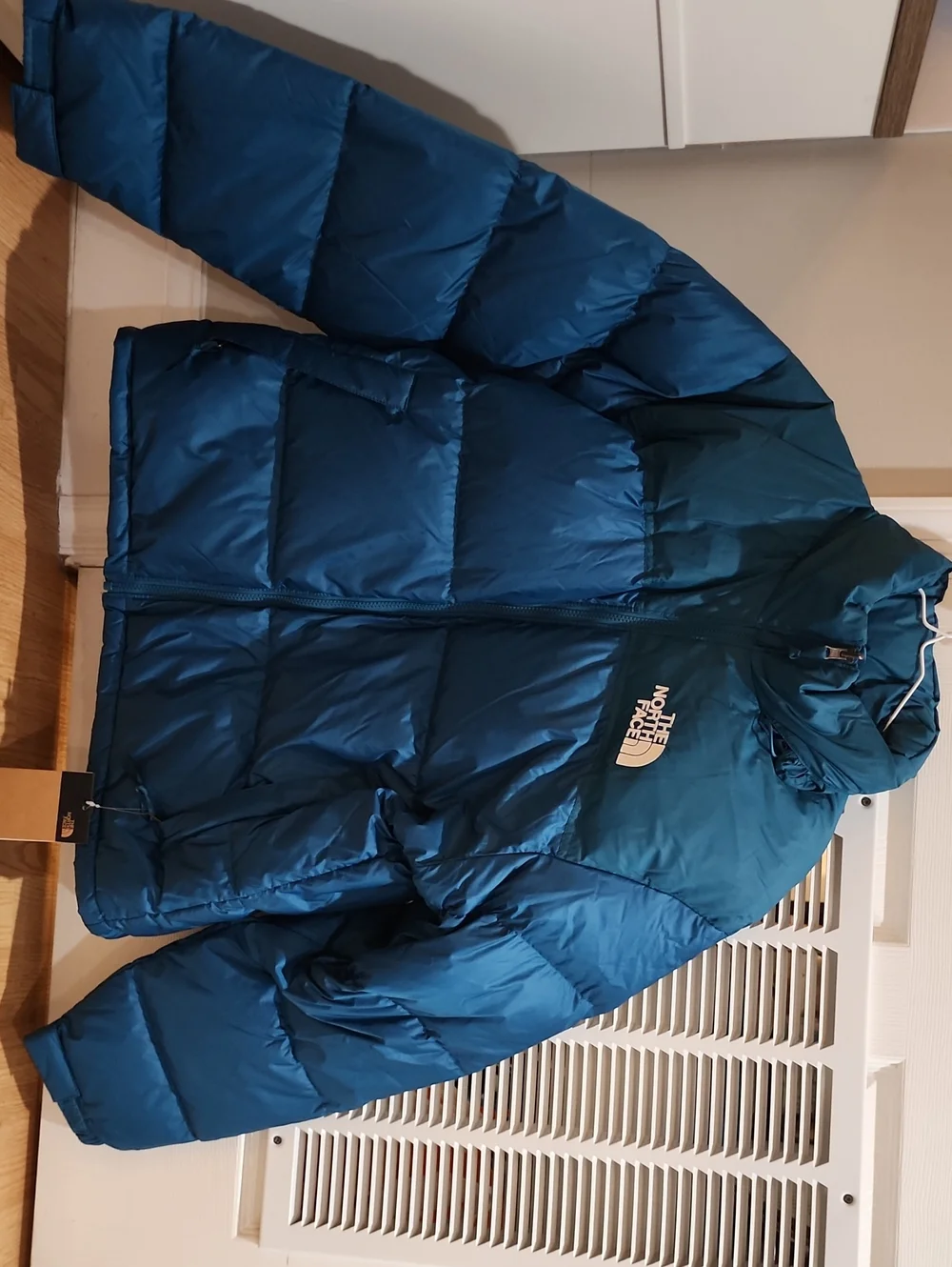 The North Face Mens Blue Coral Retro Nuptse  Jacket